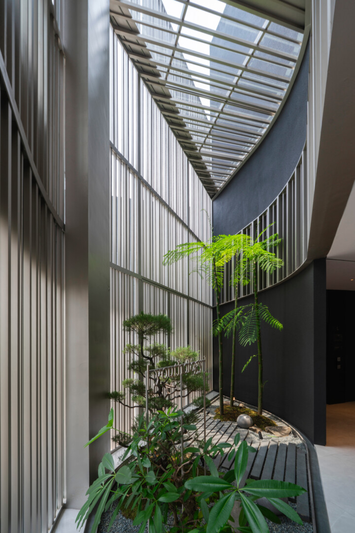 YOUTHOLOGY CLINIC - Image 8